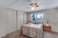 1971 Skyline Mobile Home