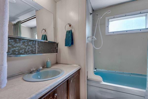 1971 Skyline Mobile Home