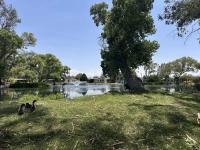 1972 Sheraton Manor Mobile Home