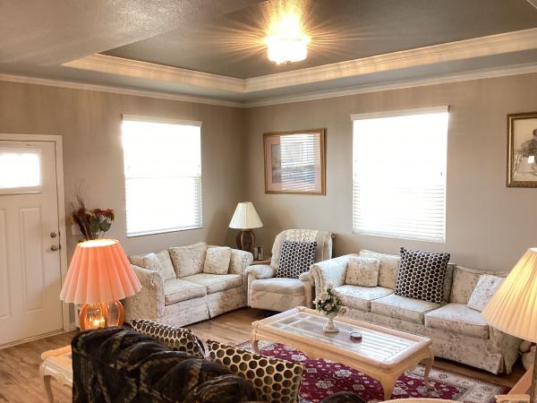 2019 Skyline Mobile Home