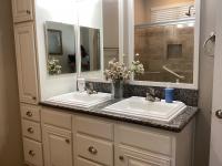 2019 Skyline Mobile Home