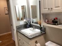 2019 Skyline Mobile Home