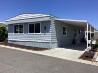 1971 skyline dom-1971 Mobile Home