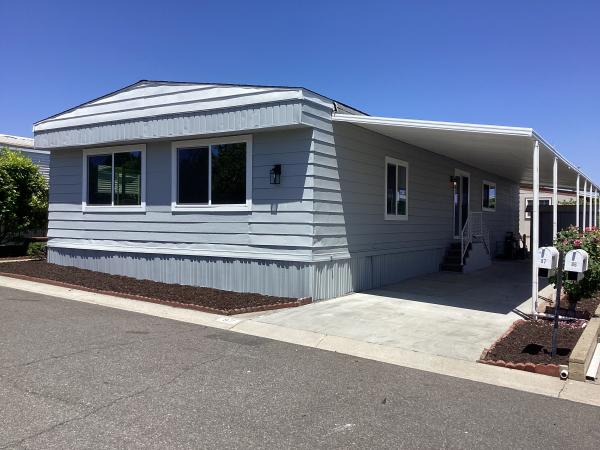 1971 skyline dom-1971 Mobile Home