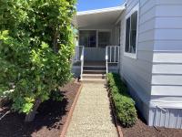 1971 skyline dom-1971 Mobile Home