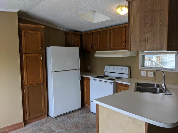 1995 Skyline Sabre Mobile Home