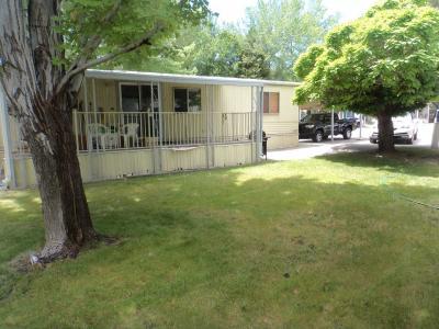 Photo 2 of 17 of home located at 49 Shady Tree Lane Carson City, NV 89706