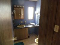 1971 Skyline Manufactured Home