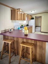 Clayton Mobile Home
