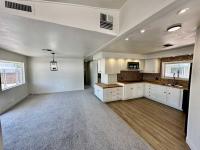 1980 Ramada Manufactured Home