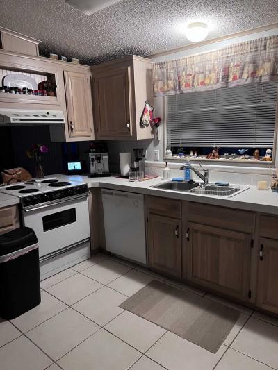 Photo 6 of 8 of home located at 799 Sweet Tangerine Ct Orange City, FL 32763