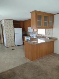 2010 Skyline Manufactured Home