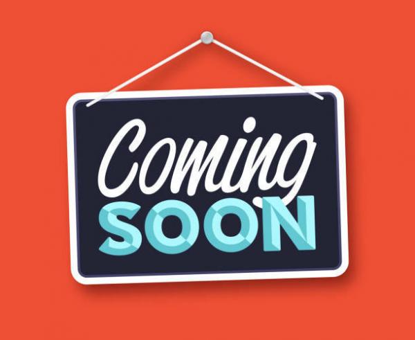 2023 Champion Mobile Home For Sale