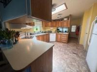 1989 Skyline 06910869YAB Mobile Home