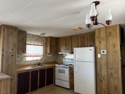 Photo 2 of 40 of home located at 11100 E. Apache Trail #053 Apache Junction, AZ 85120
