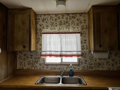 Photo 3 of 38 of home located at 11100 E. Apache Trail #053 Apache Junction, AZ 85120