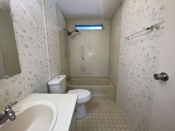 1991 Skyline Mobile Home