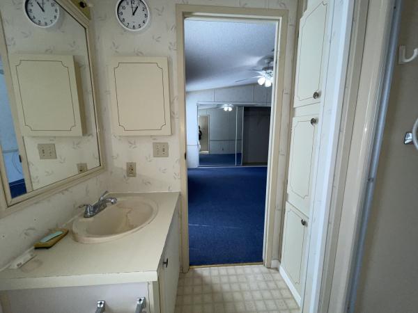 1991 Skyline Mobile Home