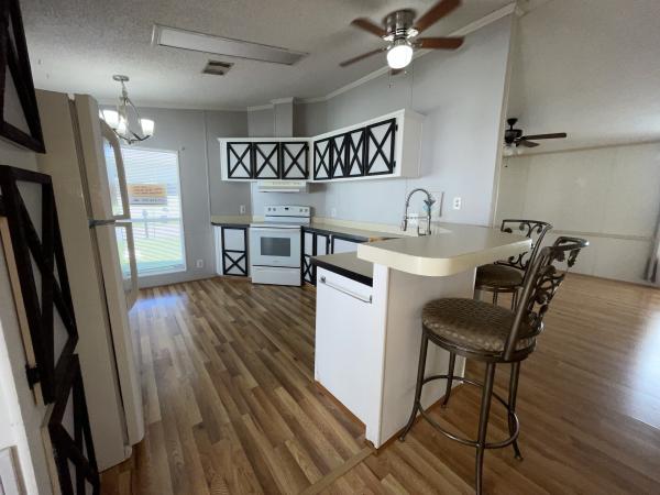 1991 Skyline Mobile Home