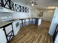 1991 Skyline Mobile Home