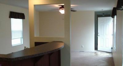 Mobile Home at 148 West Daisy Lane Holland, OH 43528