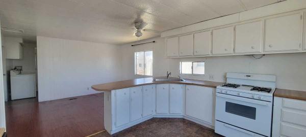 1983 Skyline Mobile Home