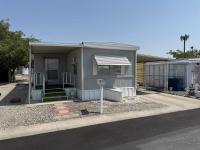 1971 Skyline Mobile Home