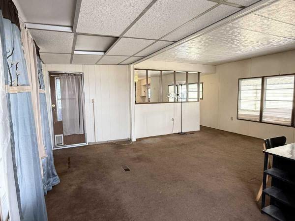 1971 Skyline Mobile Home