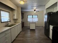 1971 Skyline Mobile Home