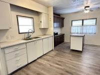 1971 Skyline Mobile Home