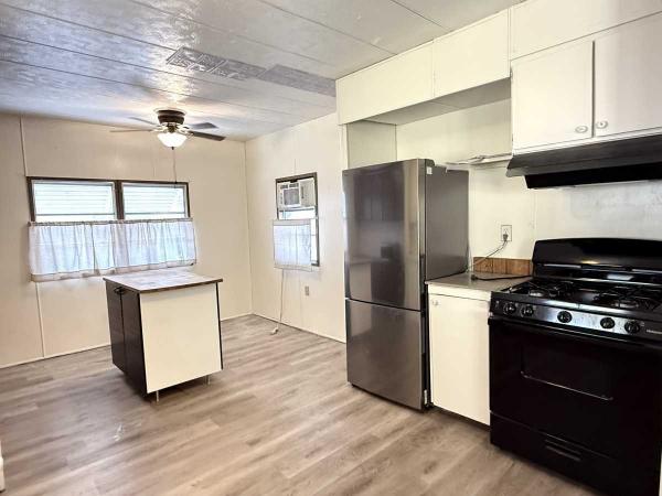 1971 Skyline Mobile Home