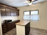1971 Skyline Mobile Home
