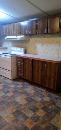 1991 Mobile Home