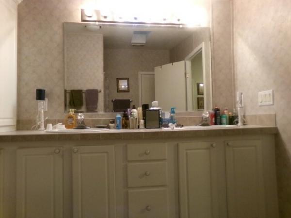 2006 SKYL Manufactured Home