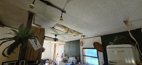 1987 Duke none Mobile Home