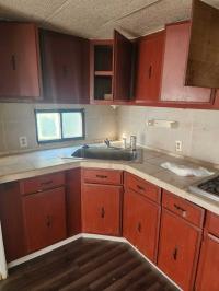 1980 Mobile Home