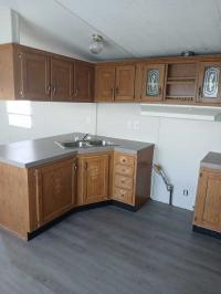 1997 Skyline Mobile Home