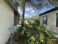 1981 HOME  Home