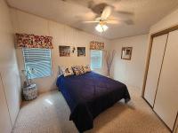 1993 PALM   Home