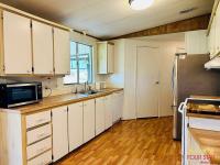 1983 PALM   Home