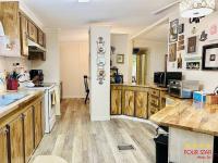 1984 NOBILITY  Home