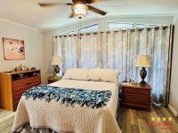 1984 NOBILITY  Home