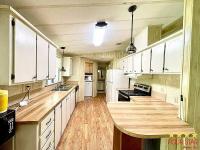 1984 PALM   Home