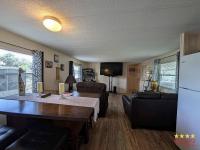 1981 CLAR  Home