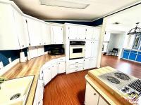1985 PALM   Home