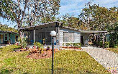 Mobile Home at 7 Ribbon Falls Dr Ormond Beach, FL 32174
