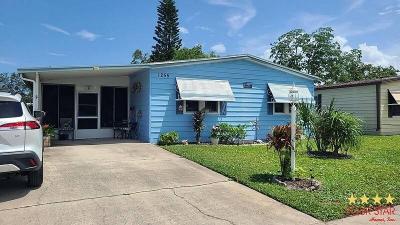 Mobile Home at 1255 Caliente Ave Port Orange, FL 32129