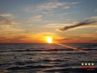 1985 Palm Harbor  Home