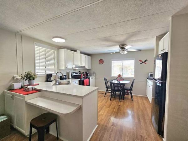 1987 Skyline Manufactured Home