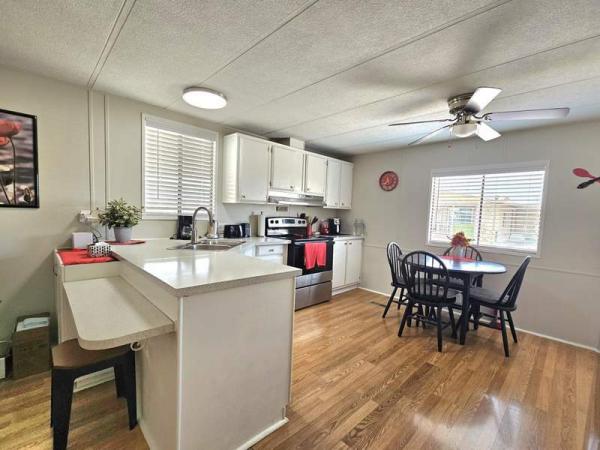 1987 Skyline Manufactured Home